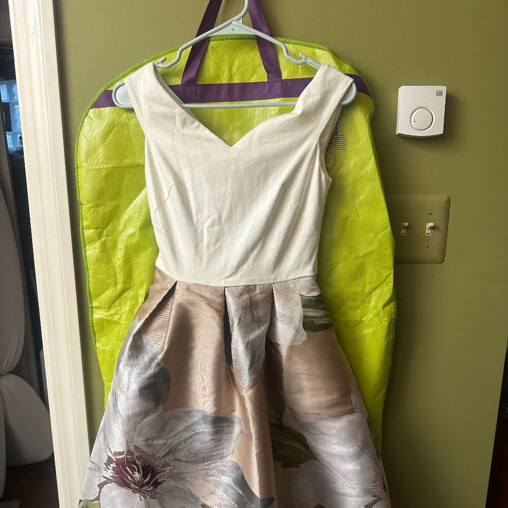 Ted Baker London dress with original bag